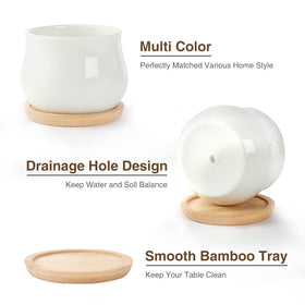 SHECIPIN succulent pot in matte white adds modern elegance