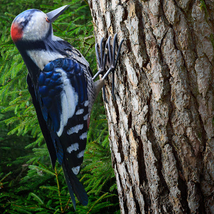 Shefio Metal Woodpecker Bird Figurine perched in garden adds durable outdoor charm.
