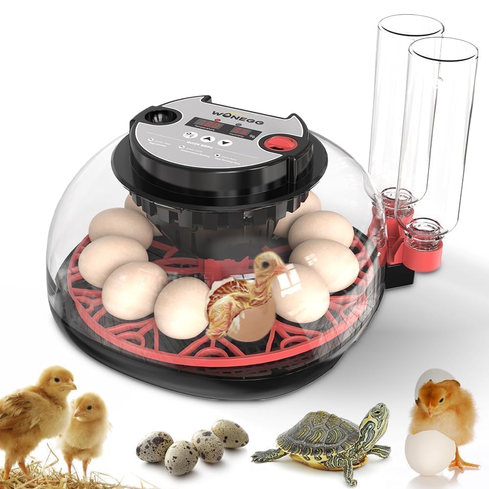 ShellBr8ker Nest II front view, compact beginner incubator design for easy setup
