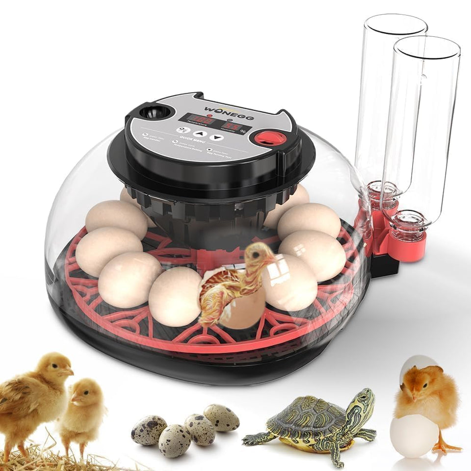 ShellBr8ker Nest II front view, compact beginner incubator design for easy setup