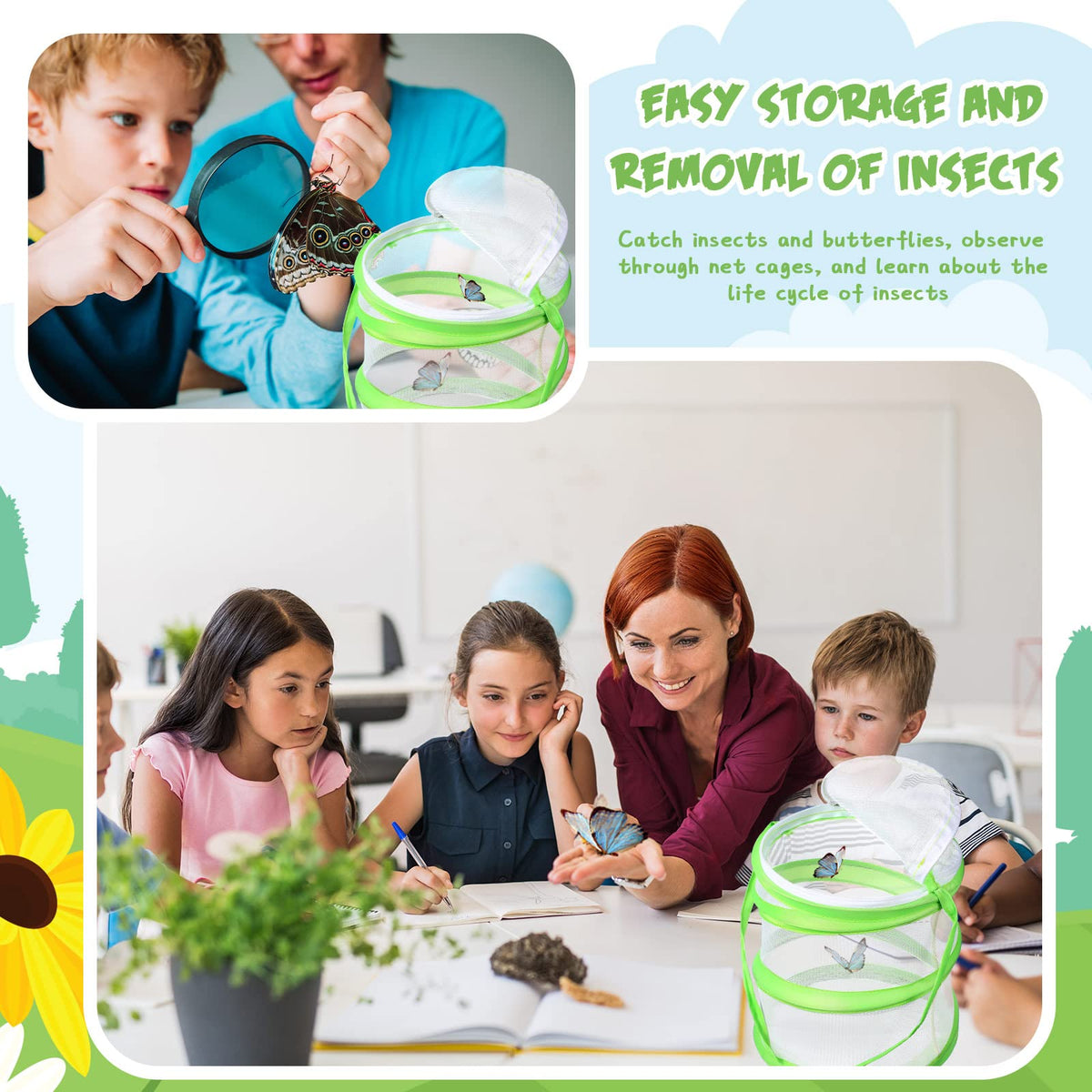 Sherr butterfly habitat cage with washable bottom for quick cleaning