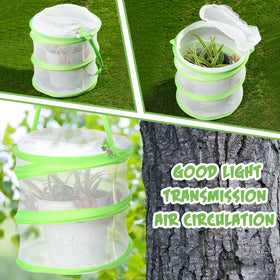 Sherr green butterfly habitat cage folded flat for storage and display