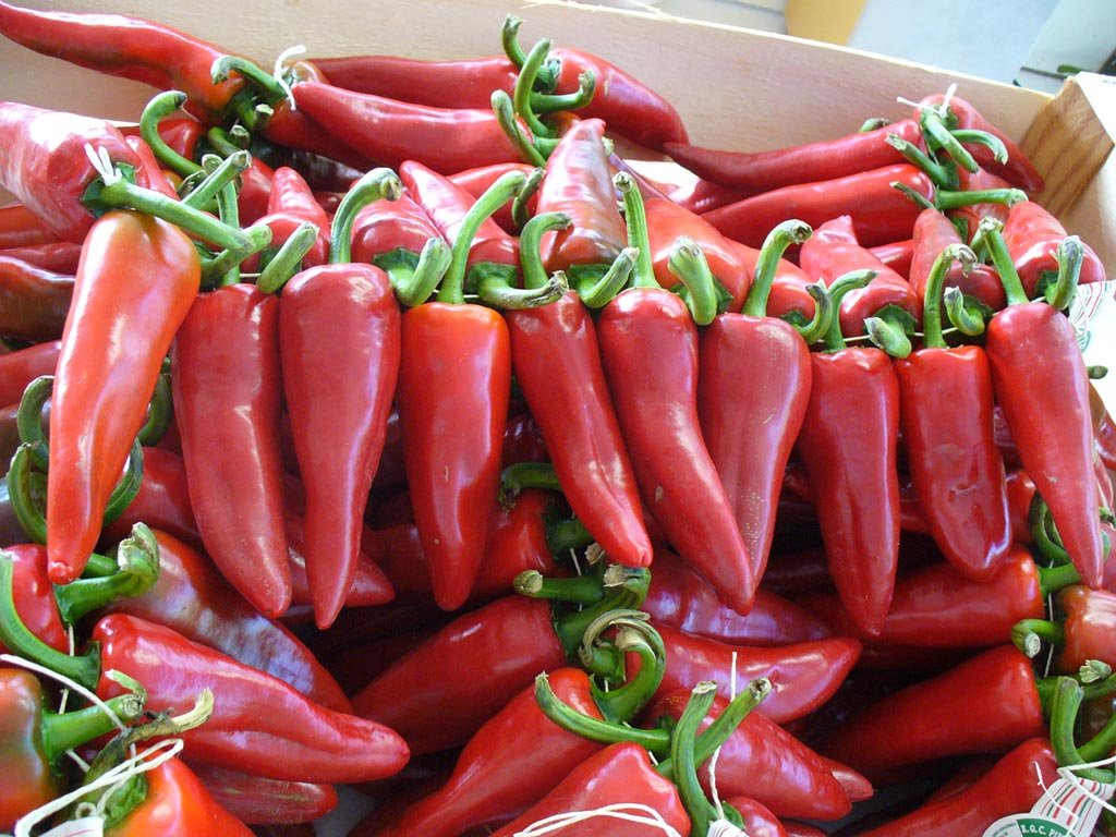Sherwoods Seeds Basque Piment de Espelette seed pack for rich heirloom flavor