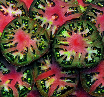 Sherwoods Seeds Black Sea Man heirloom tomato seed packet for vibrant harvests in home gardens.