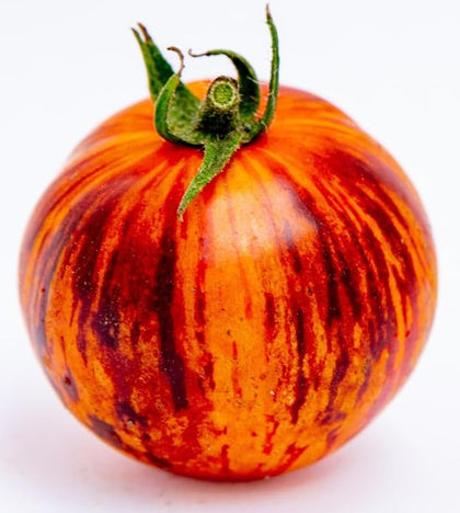 Sherwoods Seeds Queen of The Night fruit close-up, ideal for salads.