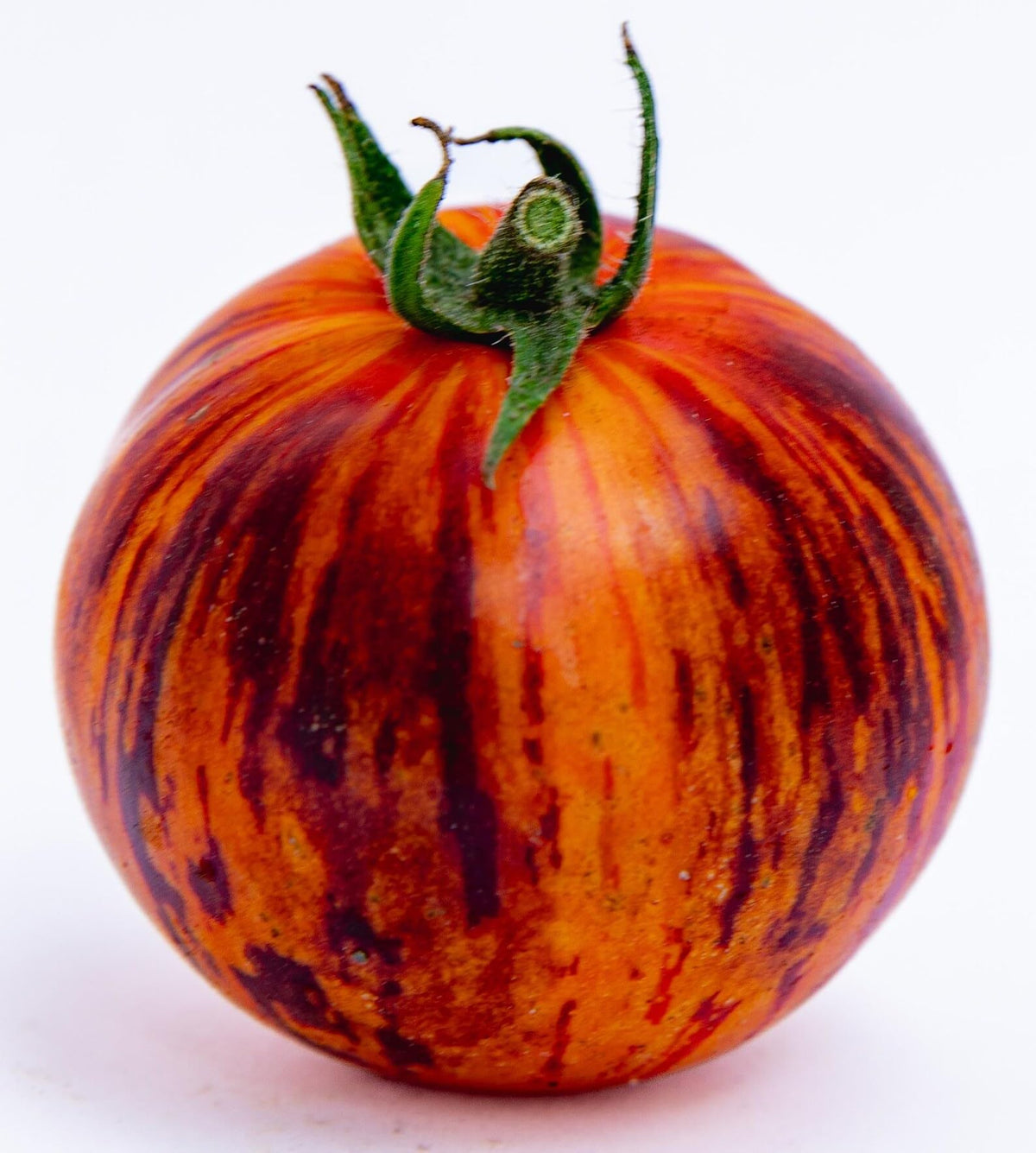 Sherwoods Seeds Queen of The Night fruit harvest close-up, campari-sized, flavorful.