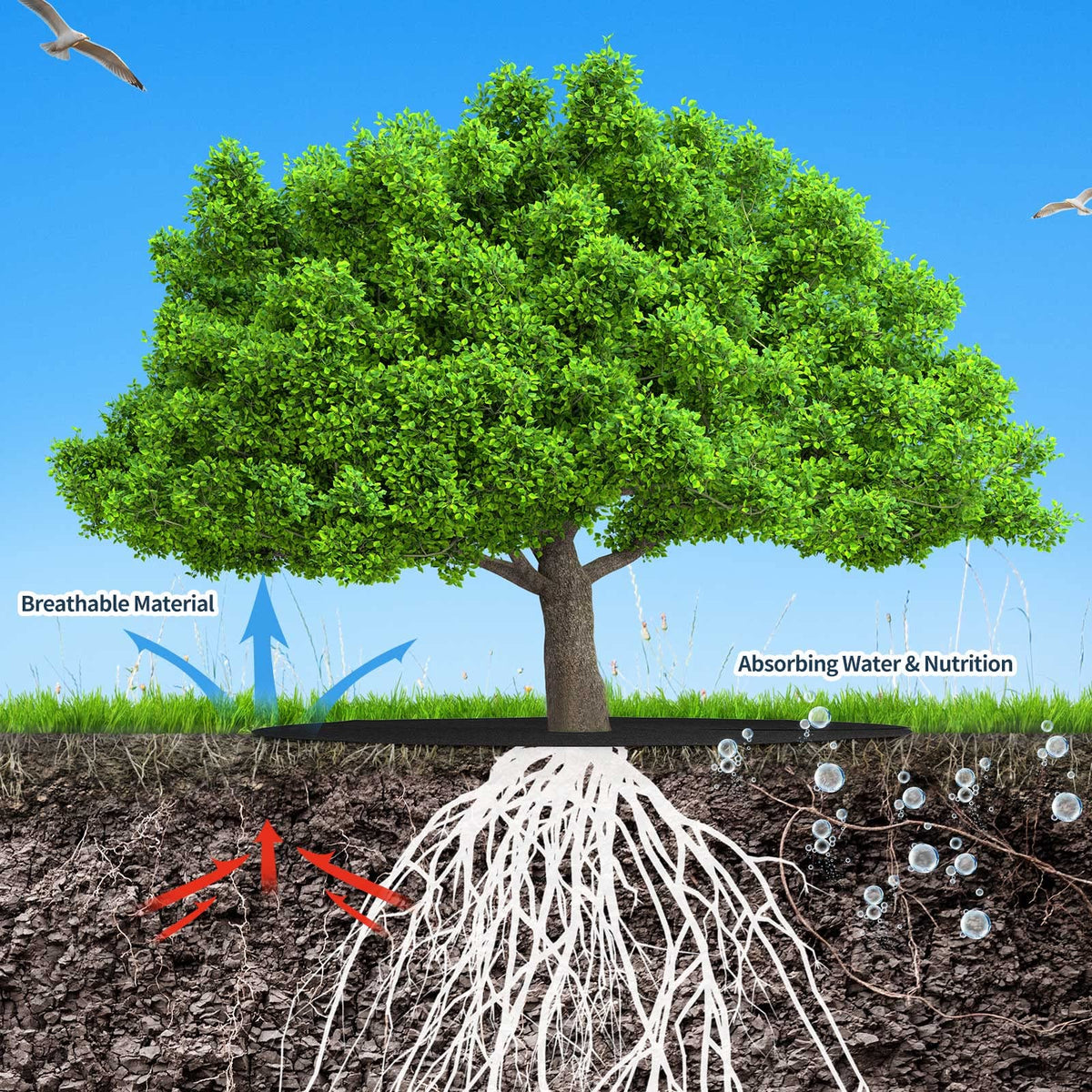 Shimeyao landscape protector base guards young plants from mower damage