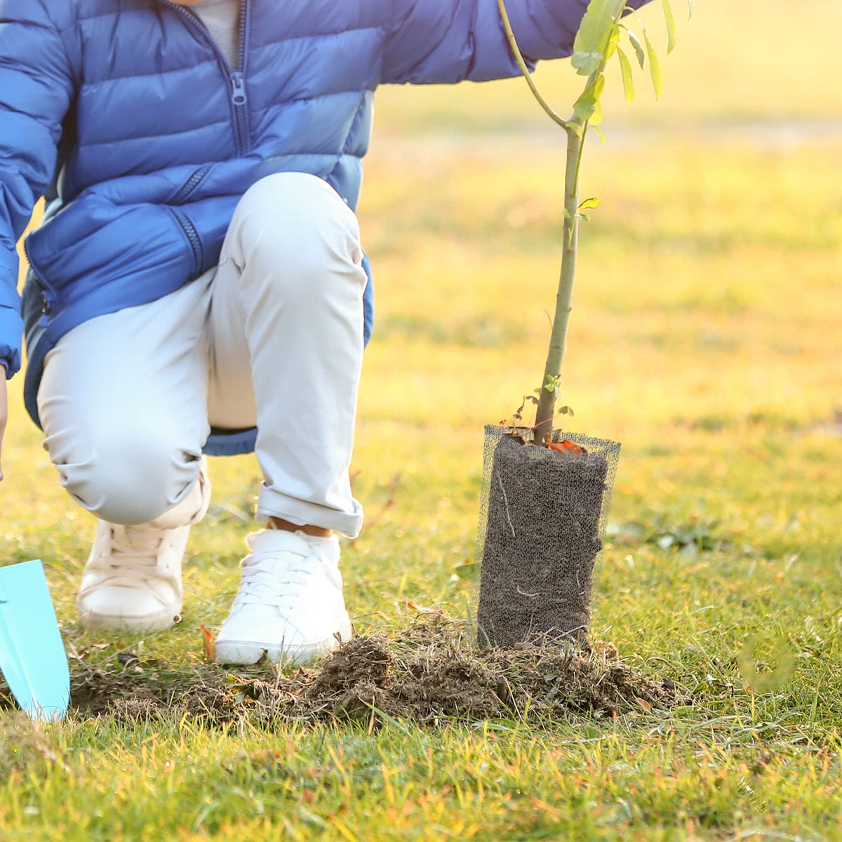 Shimeyao root protection solution supports healthy growth with low maintenance