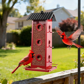 Shineforu outdoor hanging feeder suited for year-round birdwatching.