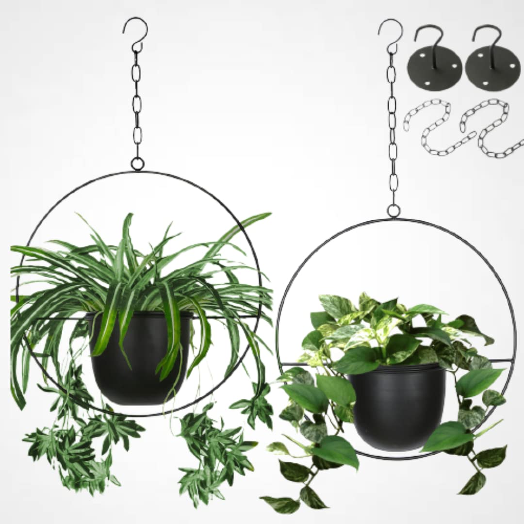 Shineloha hanging planter with 5.5-inch pot for indoor greenery.
