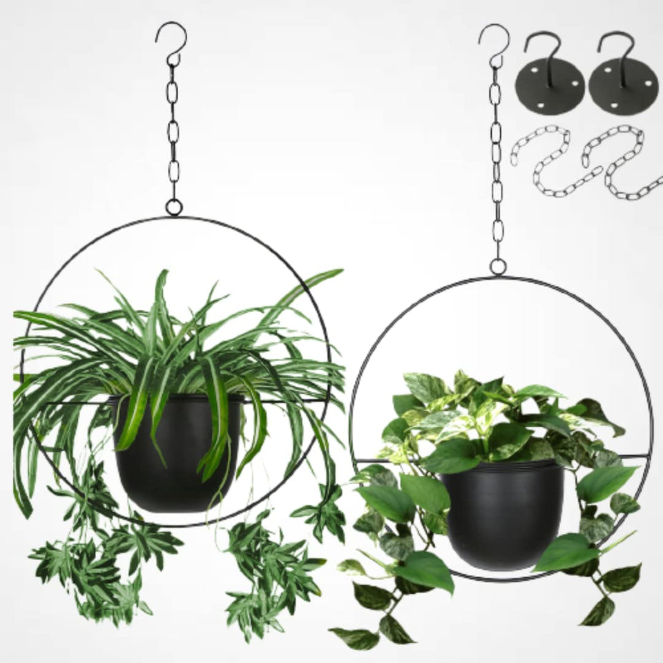 Shineloha hanging planter with 5.5-inch pot for indoor greenery.
