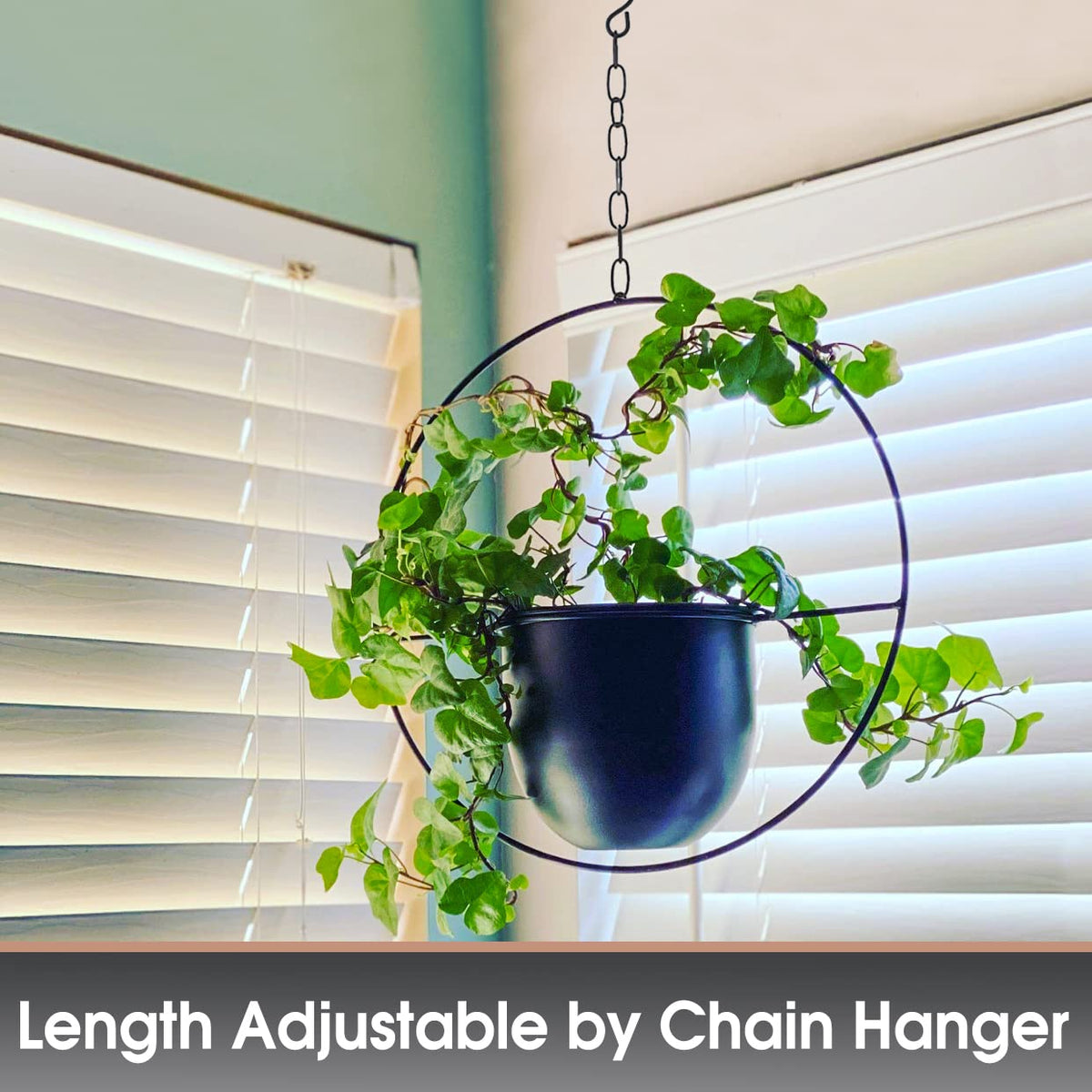 Shineloha ceiling hook included for easy mounting.