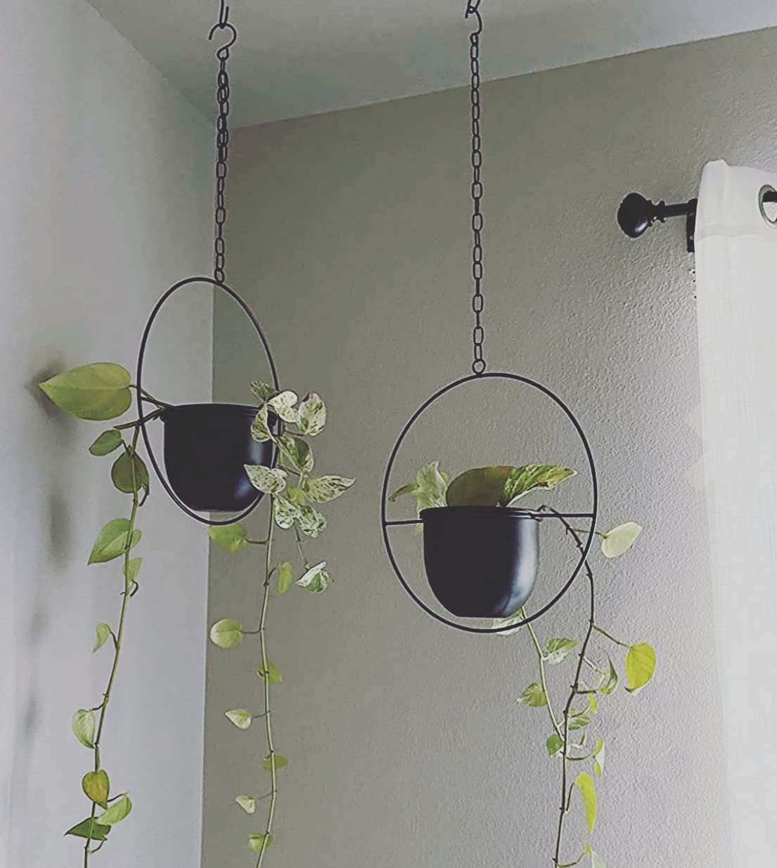 Shineloha extender chain lets you adjust planter height.