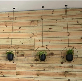 Shineloha indoor plant display ready to showcase greens.