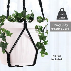 Shineloha indoor plant display solution adds elevated charm to any space.