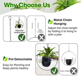 Shineloha minimalist metal planter enhances modern interiors.
