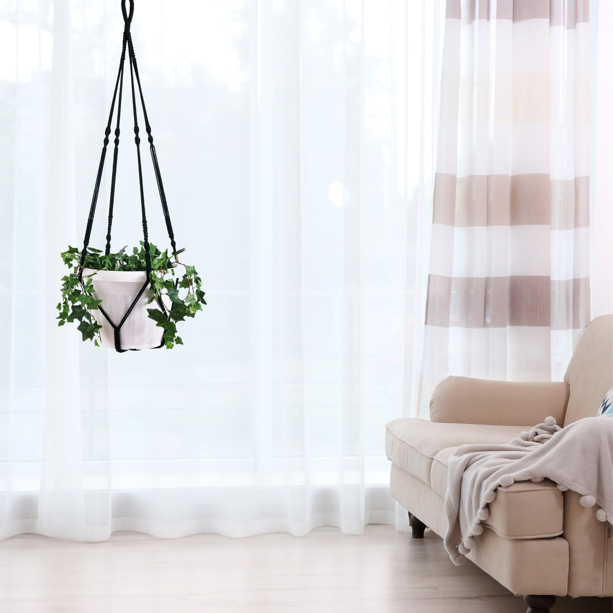 Shineloha no-pot-included lets you customize your plant choice.