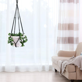 Shineloha no-pot-included lets you customize your plant choice.
