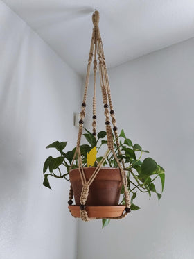 Shineloha thick 4mm cotton planter hanger for sturdy displays.