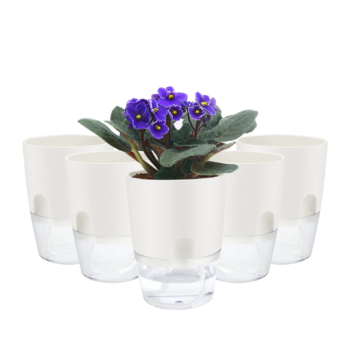 ShineMe self watering pot 5-pack package keeps plants organized and stylish