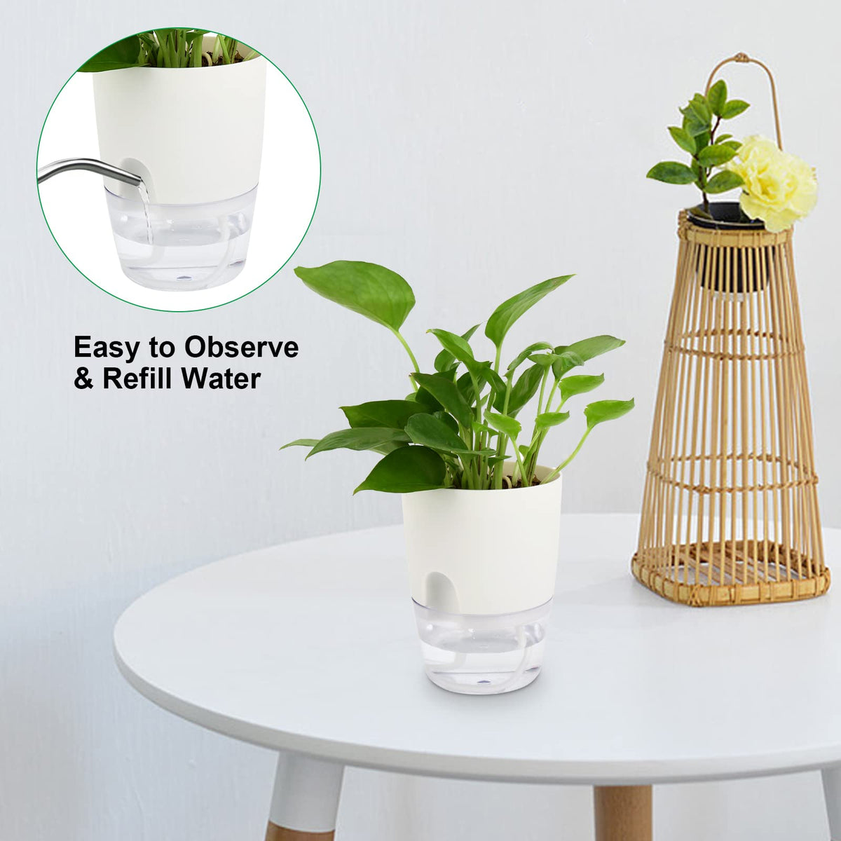 ShineMe pot with cotton rope detail highlights self-watering feature