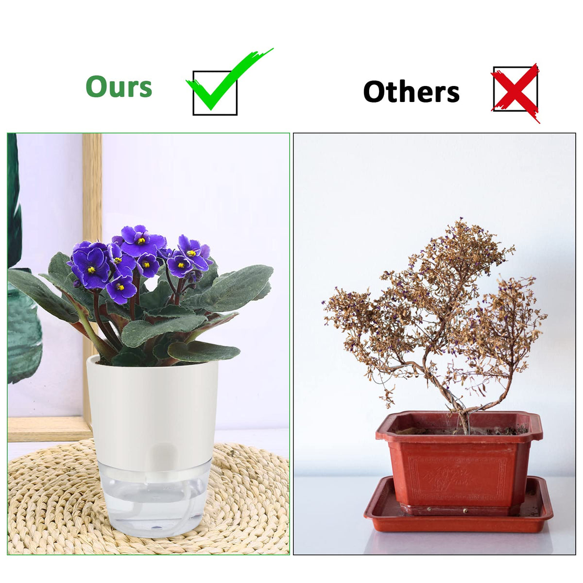 ShineMe self-watering pot placed on indoor kitchen windowsill