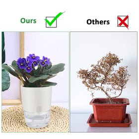 ShineMe self-watering pot placed on indoor kitchen windowsill