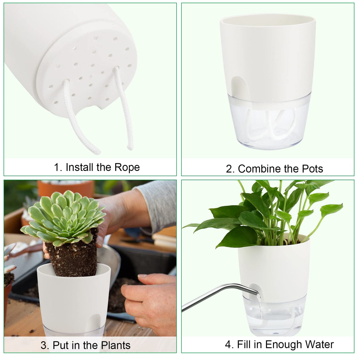 ShineMe pot with thick white top and crystal base for easy observation