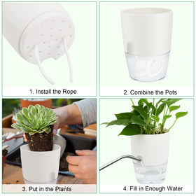 ShineMe pot with thick white top and crystal base for easy observation