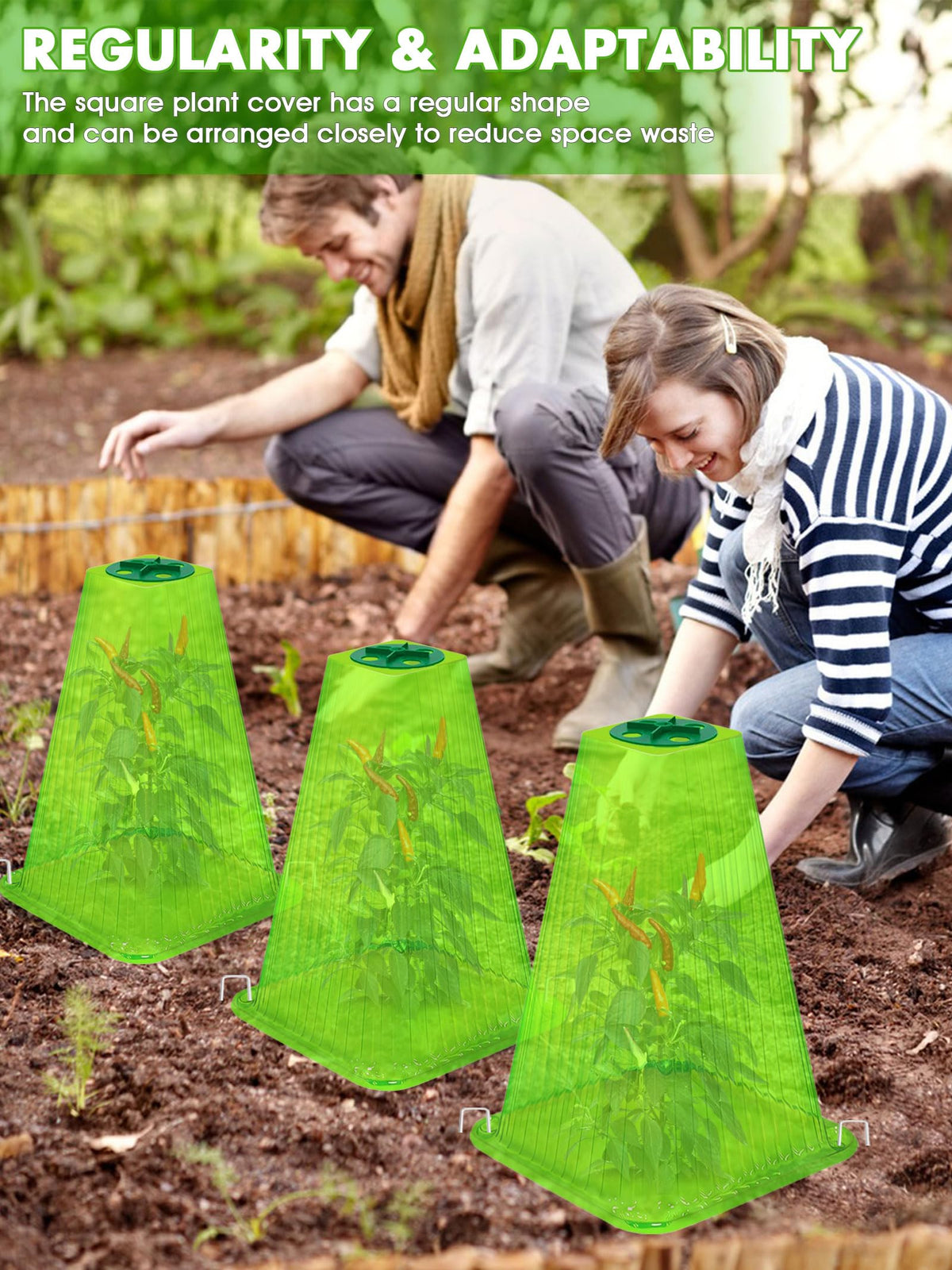 ShineSirius easy installation helps protect many plants at once