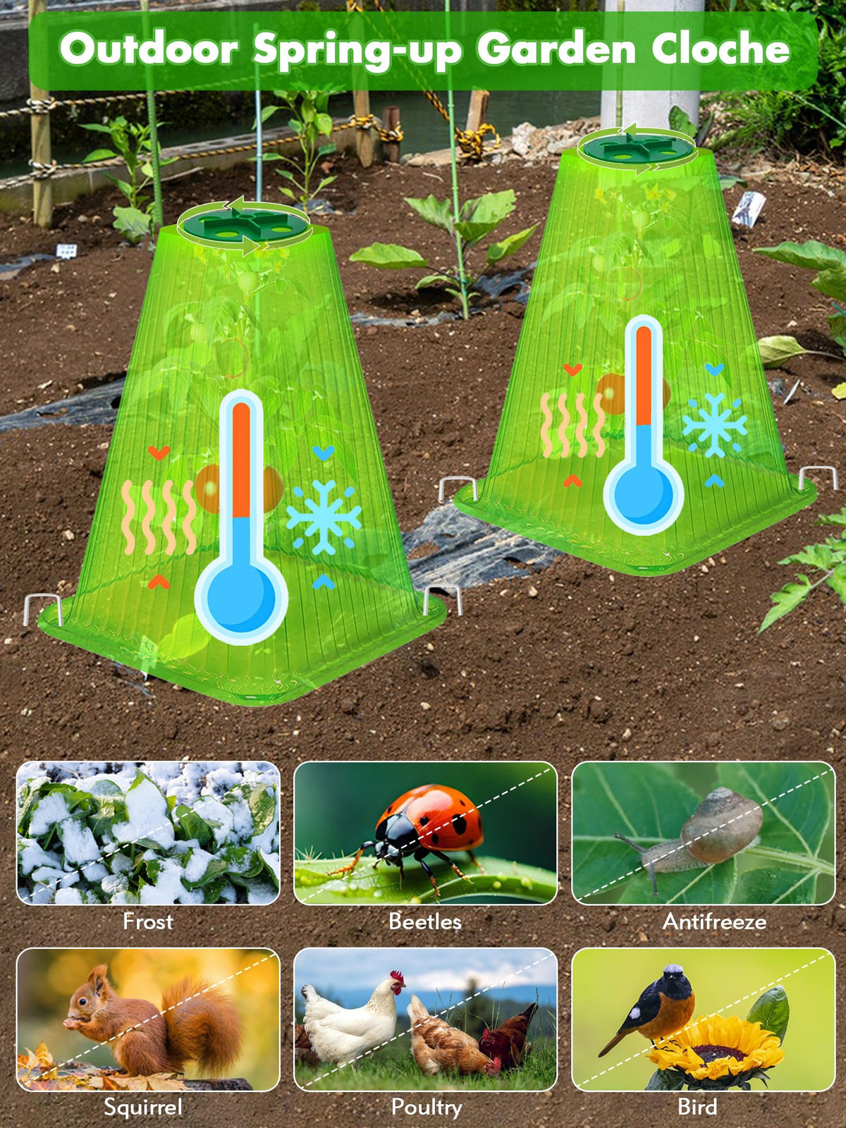 ShineSirius transparent cloches maximize light penetration for thriving plants