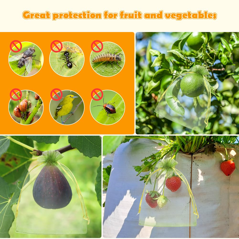 Shintop fruit bags for lemons, plums, and berries on plant