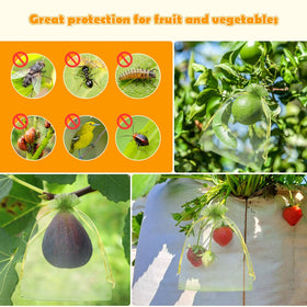 Shintop fruit bags for lemons, plums, and berries on plant