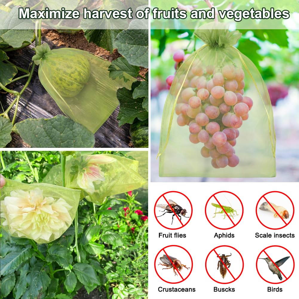 Shintop bags fit grapes, bananas, melons and more