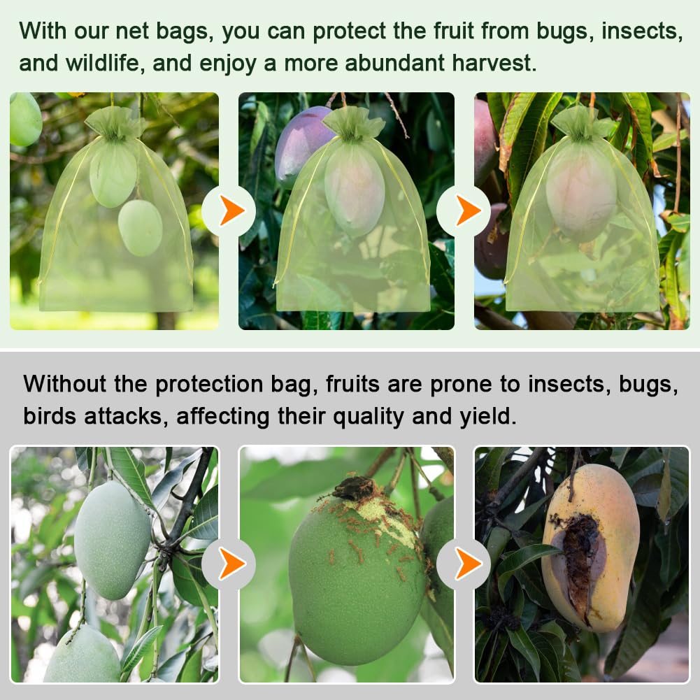 Shintop grape bag shields fruit from birds and insects