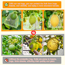 Shintop strawberry netting bags closeup showing fine mesh and protection