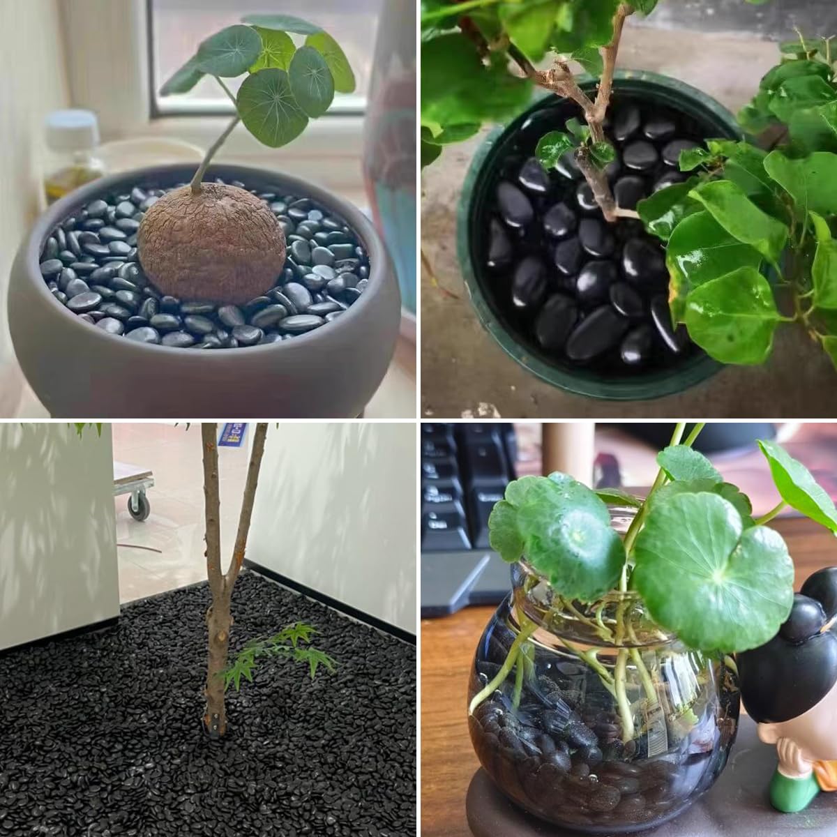 SHIZWU indoor plant decor pebbles offering subtle contrast and soil protection.