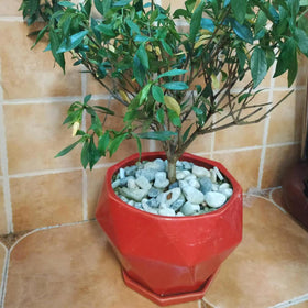 SHIZWU jade pebbles for pools and fountains add color and stability.
