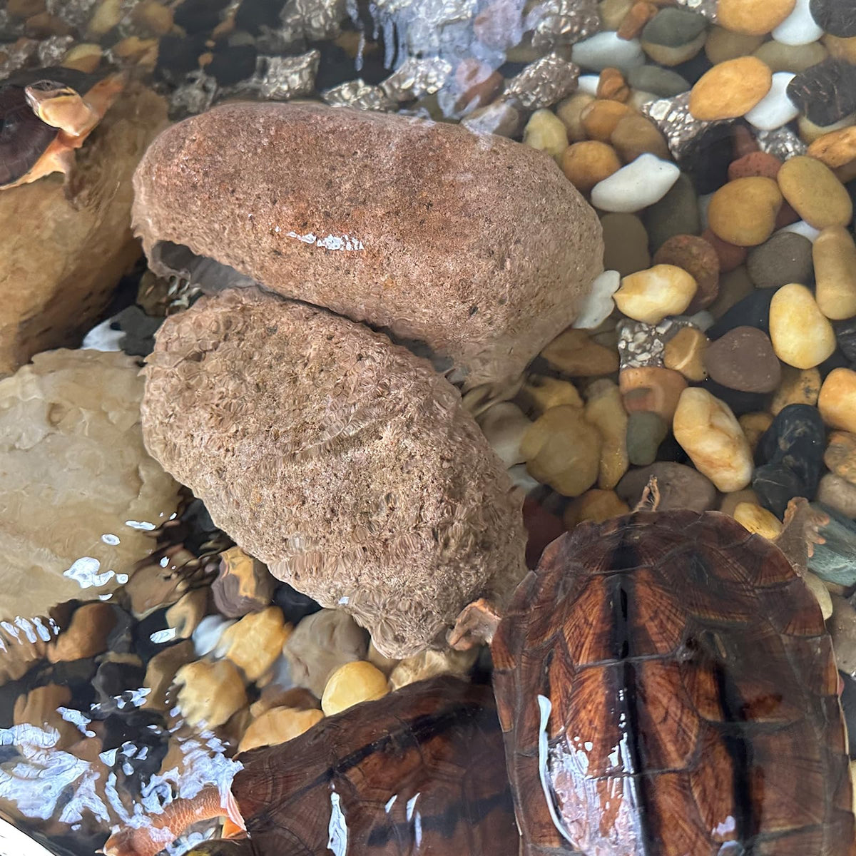 SHIZWU decorative stones for outdoor paths and weed control.