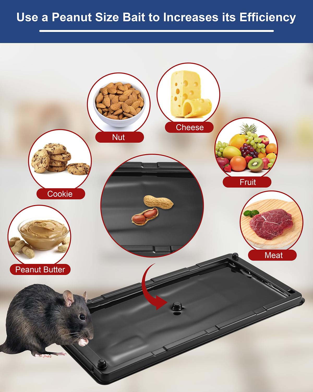 SHKIBY pet-safe indoor use for humane pest management.