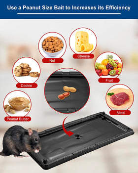 SHKIBY pet-safe indoor use for humane pest management.