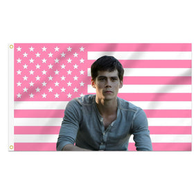 Shmbada Dylan O'Brien 3x5 flag mounted on wall for dorm room style.