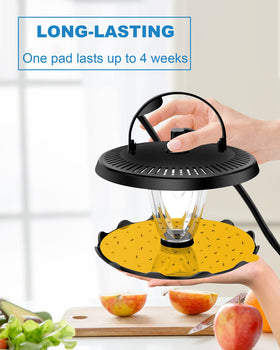 Shootingstar 6-inch glue board, simple setup for fast pest monitoring