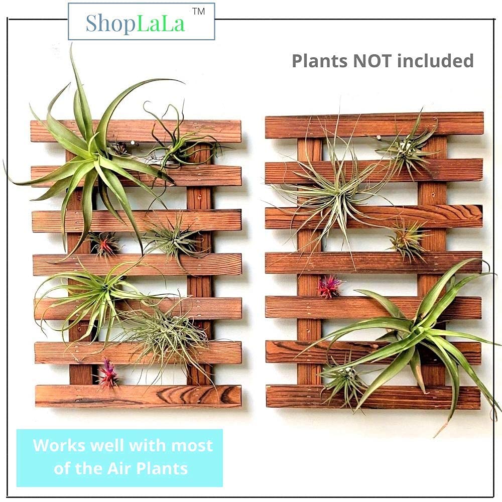 ShopLaLa indoor outdoor-ready planter frame ready for mounting.