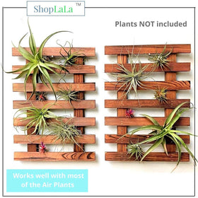 ShopLaLa indoor outdoor-ready planter frame ready for mounting.