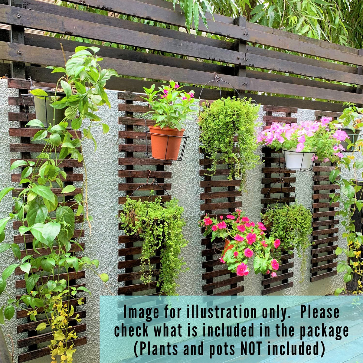 ShopLaLa versatile two-pack supports orchids and greens in a vertical setup.