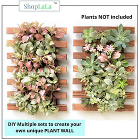 ShopLaLa wall-mount planter for air plants and small succulents.