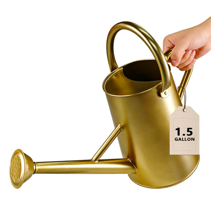 ShopWithGreen gold watering can with removable spout for precise watering indoors or outdoors