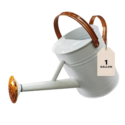 Shopwithgreen 1-gallon watering can ideal for indoor and outdoor plant care