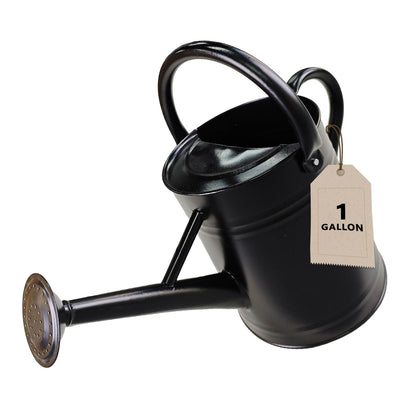 Shopwithgreen watering can with 1 gallon capacity and detachable sprinkler head for versatile watering